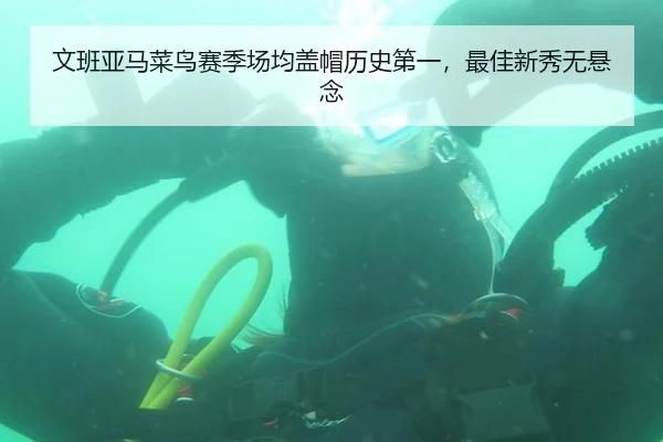 文班亚马菜鸟赛季场均盖帽历史第一，最佳新秀无悬念
